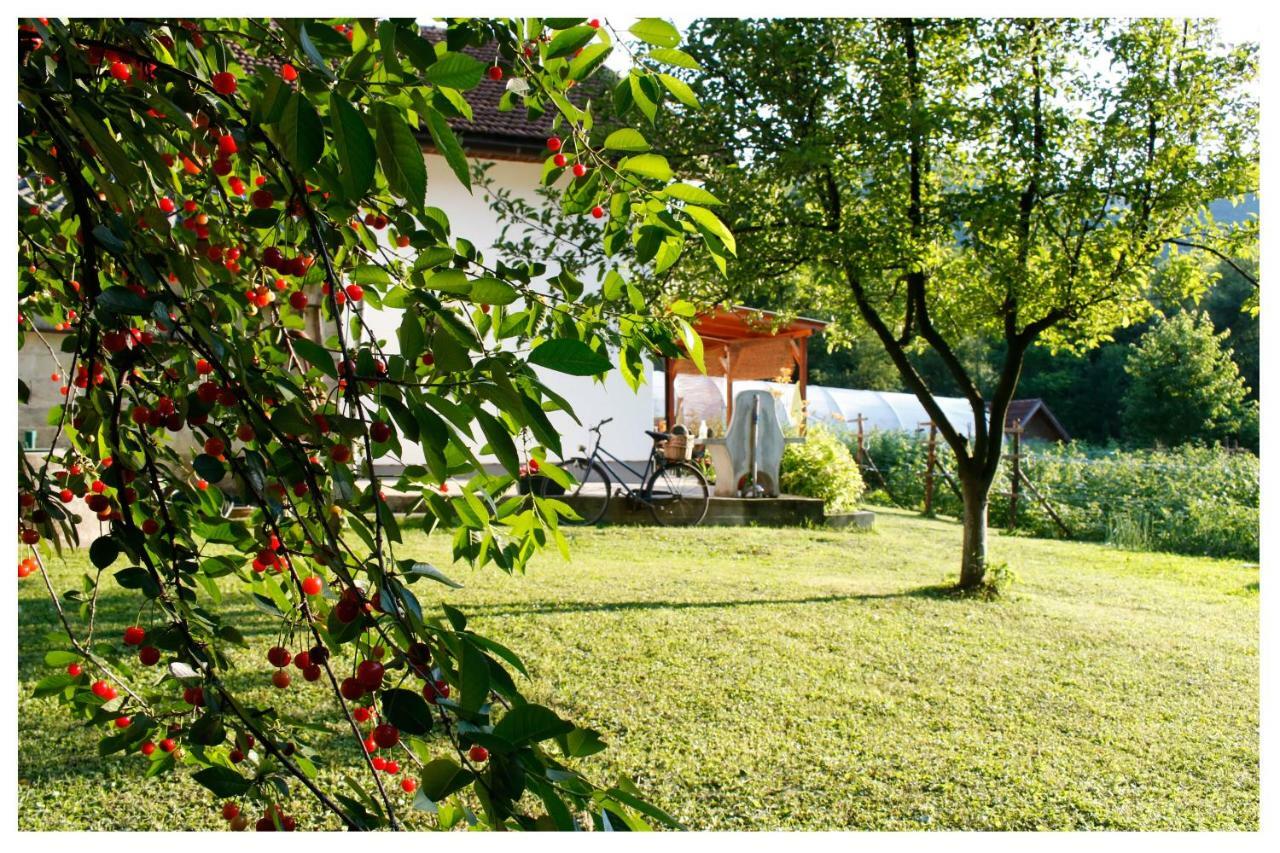 Holiday Residence Buric Високо Экстерьер фото